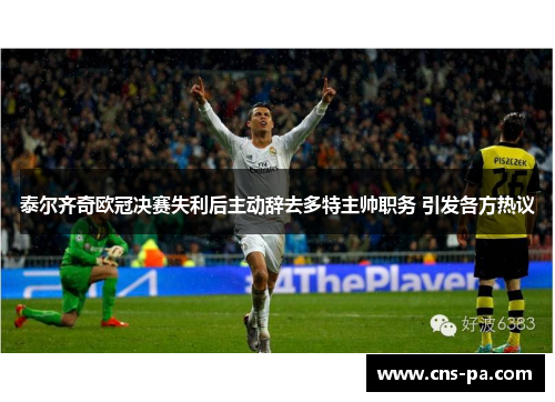 泰尔齐奇欧冠决赛失利后主动辞去多特主帅职务 引发各方热议