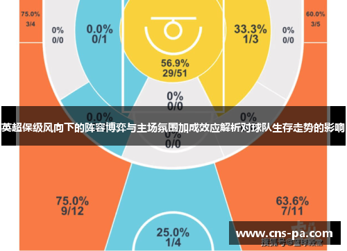 英超保级风向下的阵容博弈与主场氛围加成效应解析对球队生存走势的影响